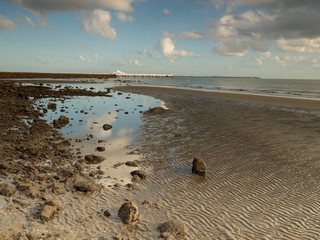 Seaside Reflection
