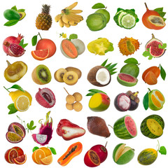 set of tropical fruits isolated on white