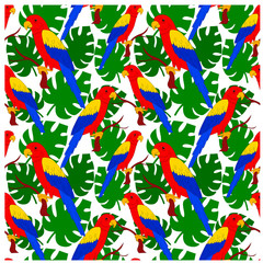  vector illustration parrot pattern