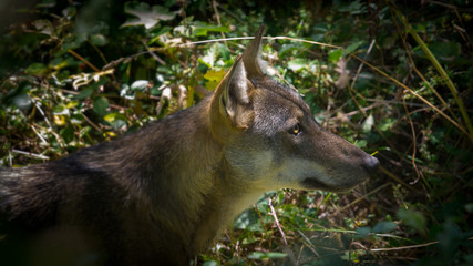 parco nazionale d'abruzzo