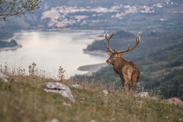 parco nazionale d'abruzzo