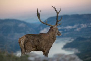 parco nazionale d'abruzzo