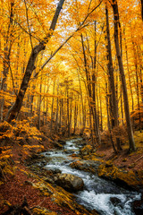 Autumn in old mountain, bulgaria