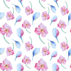 watercolor pattern with pink poppies