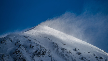 parco nazionale d'abruzzo
