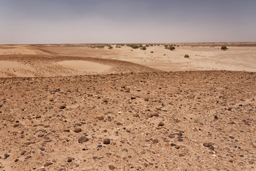 Fototapeta na wymiar Fragmenty piaszczystej pustyni Sahara