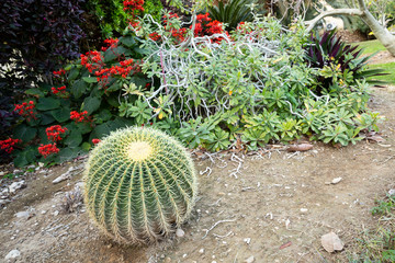 Botanical garden - Ein Gedi kibbutz, Israel