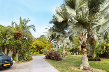 An amazing Botanical Garden with resort  -  Ein Gedi kibbutz Israel, Dead See, Negev Desert 