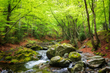 spring in the mountain, bulgaria