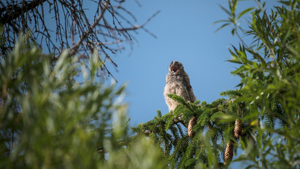 parco nazionale d'abruzzo