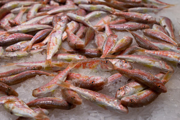 Salmonetes sobre hielo en el mercado