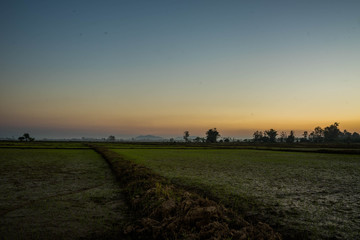 Fototapeta premium sunset over field