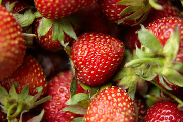 strawberry background, harvest of red ripe summer berries, top view