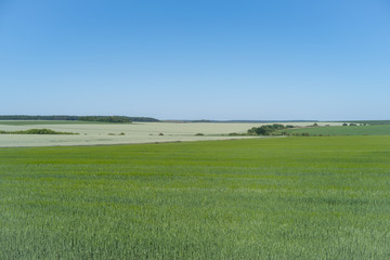 Agricultural landscape in Podolia region of Ukraine