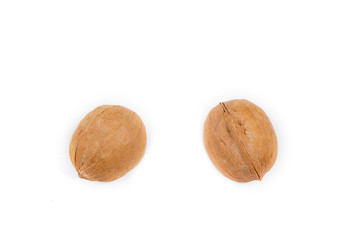 organic walnuts isolated on white background