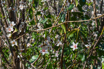 Canary islands gran canaria no people
