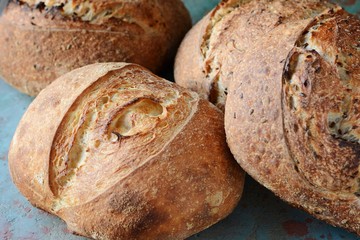 Fresh homemade bread on a gray-blue background, with flax seeds on whole wheat flour. French bread round shape. Bread baking. Unleavened bread