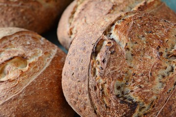 Fresh homemade bread on a gray-blue background, with flax seeds on whole wheat flour. French bread round shape. Bread baking. Unleavened bread