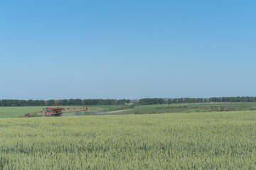 Farmer spraying pesticides in green wheat field