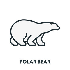 Arctic Polar Bear  Vector Flat Line Stroke Icon.