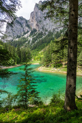 green lake in forest