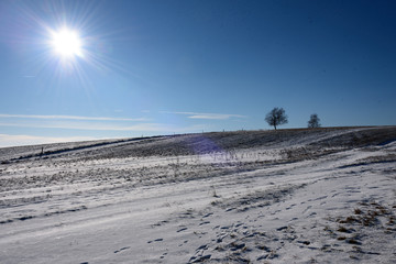 Winterlandschaft in der Nähe von Rotterode im Thüringer Wald
