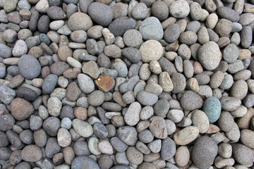 Pebbles, rocks, and stones as natural decoration in the garden