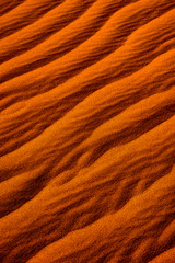 sand background with a natural wavy pattern