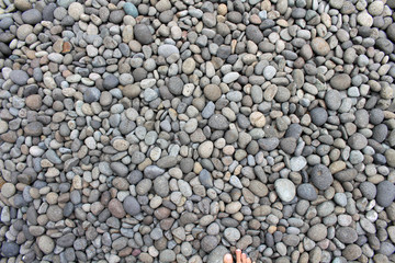 Pebbles, rocks, and stones as natural decoration in the garden