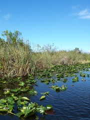 Landschaft Tiere © Timo