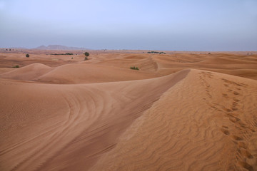 Fototapeta na wymiar Sand desert dunes in United Arab Emirates, Dubai