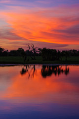 Billabong sunset australie