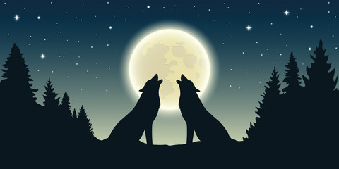 two wolves howl at the full moon in forest landscape vector illustration EPS10
