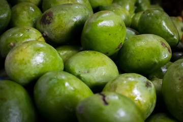 Fresh Karabao Mangoes of the Philippines