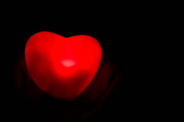 a special red rose for valentine's day