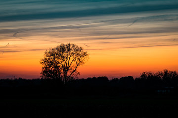 Fototapeta na wymiar Silhouette of a lone tree against the twilight sky