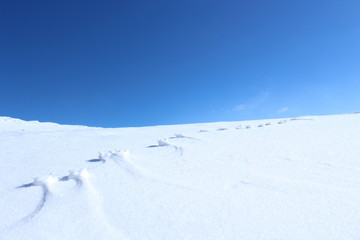 Snow shapes