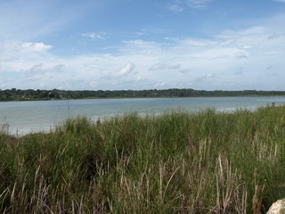 Landschaft Tiere © Timo
