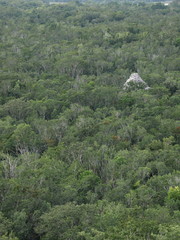 Landschaft Tiere © Timo