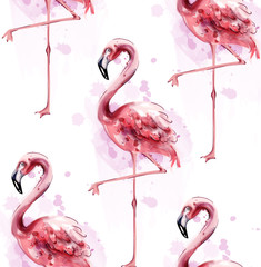 Flamingo pattern watercolor Vector. Exotic bird cute poster templates