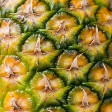 closeup of pineapple