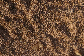 texture