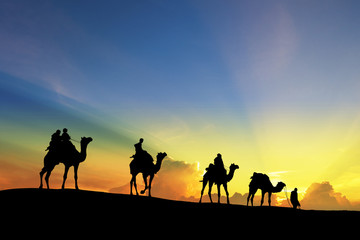 Fototapeta na wymiar caravan Walking with camel through Thar Desert in India, Show silhouette and dramatic sky