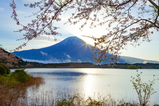 富士山と日の出、静岡県富士宮市田貫湖にて © photop5
