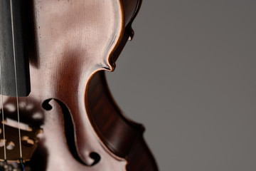 Geige im detail 