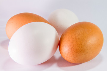 egg
