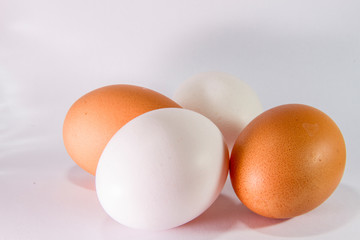egg