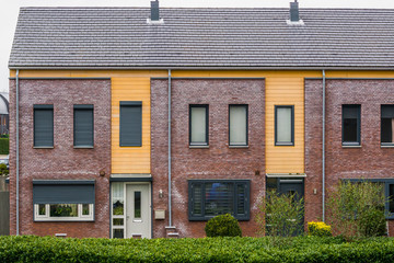 two terraced houses decorated with diverse plants, modern dutch architecture, village homes in the Netherlands