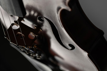 Geige im detail 