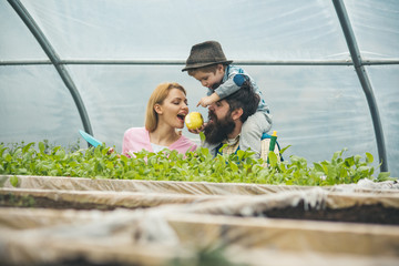 carbon concept. carbon helps plant growth. carbon agriculture. soil feeds on carbon. everything...